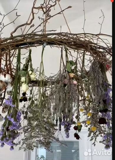 Музыка ветра