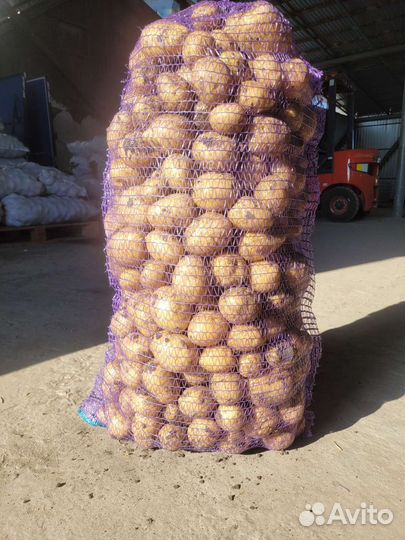 Продам картофель оптом