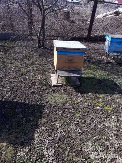 Улей для пчел бу