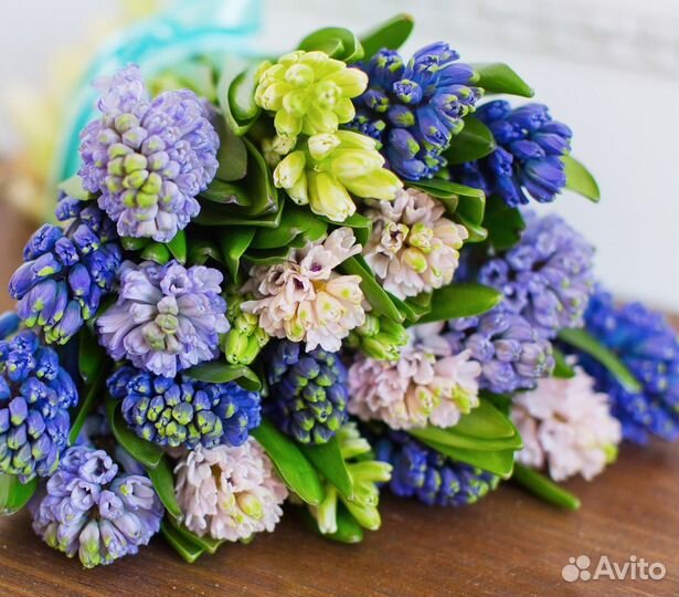 Букет из разноцветных гиацинтов 15 шт