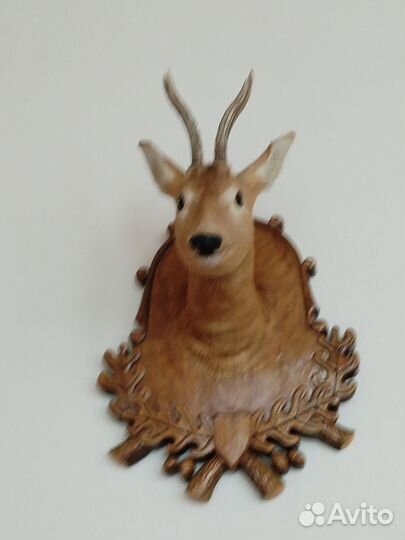 Чучело головы косули