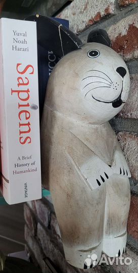 Книга по саморазвитию 