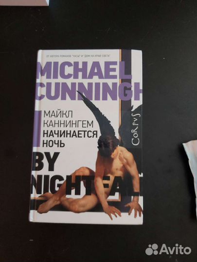 Начинается ночь Майкл Каннингем