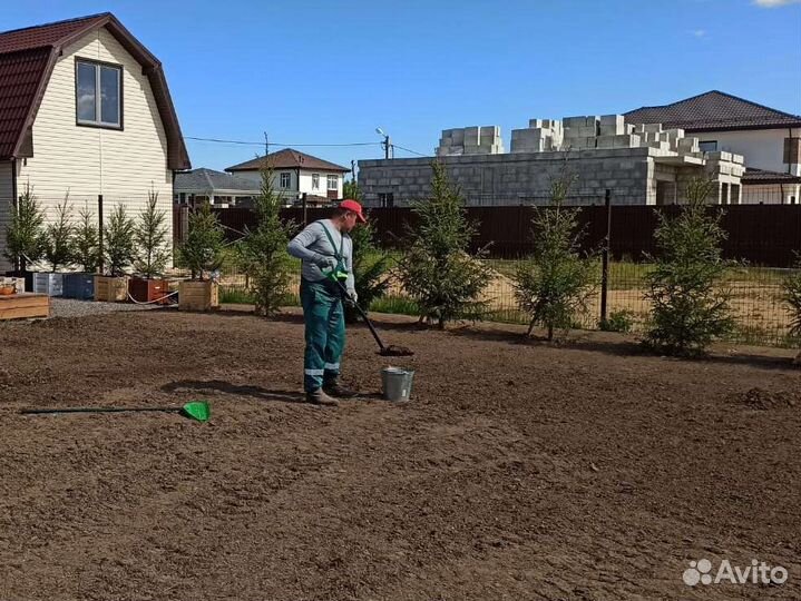 Посев газонной травы