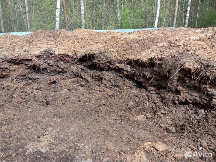 Конский навоз