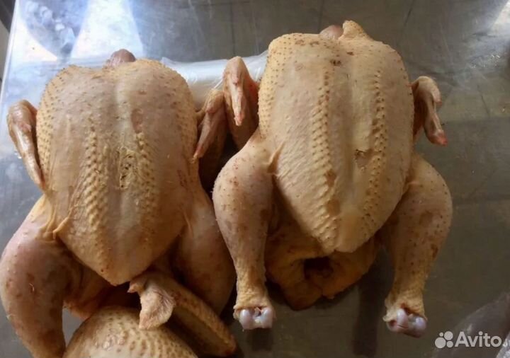 Мясо домашнего бройлера