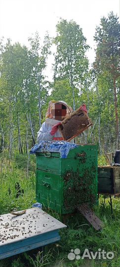 Фермерские продукты