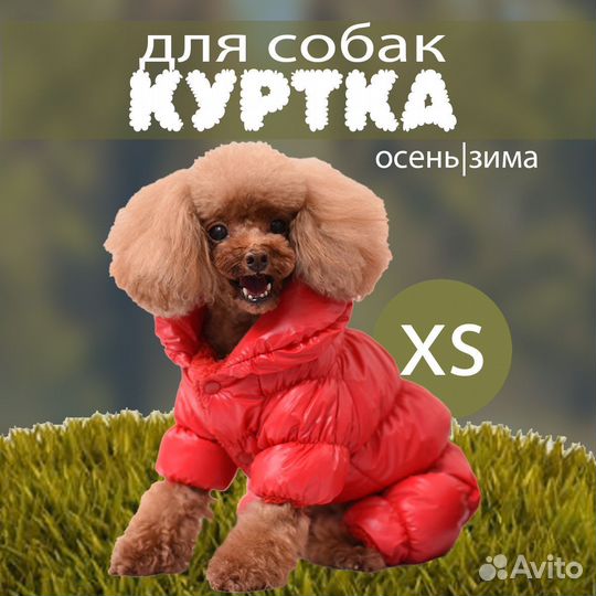 Куртка комбинезон для собак красная XS