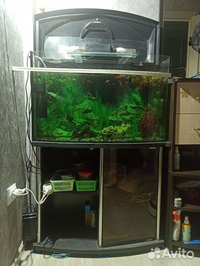 Аквариум
