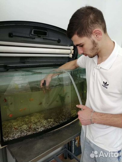 Установка, запуск и Чистка Аквариумов