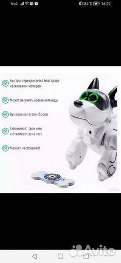 Собака-робот Pupbo