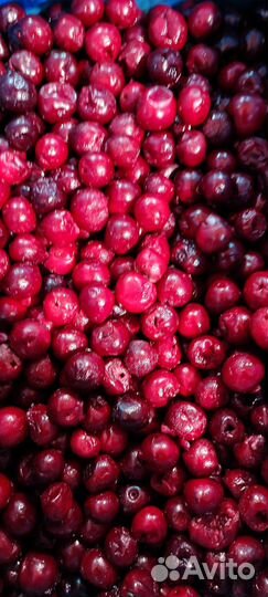 Вишня б/к 1 класс с/м коробка 10 кг (Сербия)