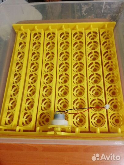 Инкубатор для яиц автоматический бу