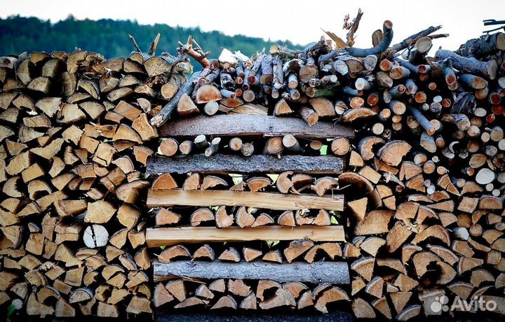 Дрова осина