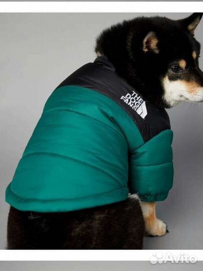 Новая Куртка на собаку