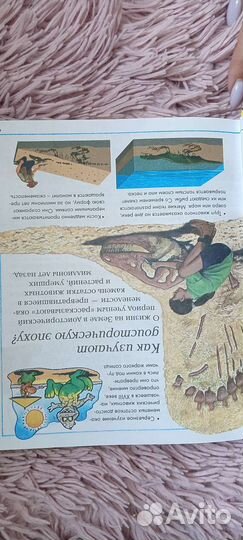 Энциклопедия. Что, Зачем, Почему