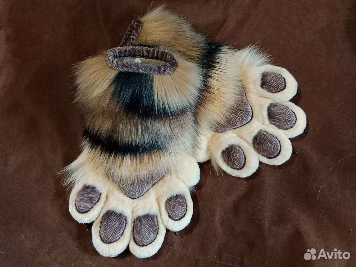 Фурчатки трехцветные