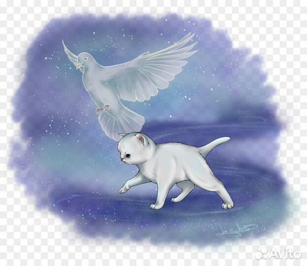 Усыпление животных (эвтаназия). Кремация. Вывоз