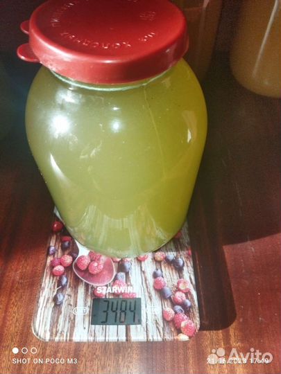 Майский Мёд 2023. акация рапс