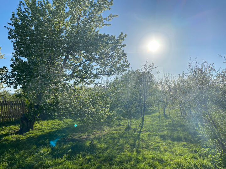 Дом 64 м² на участке 49 сот.