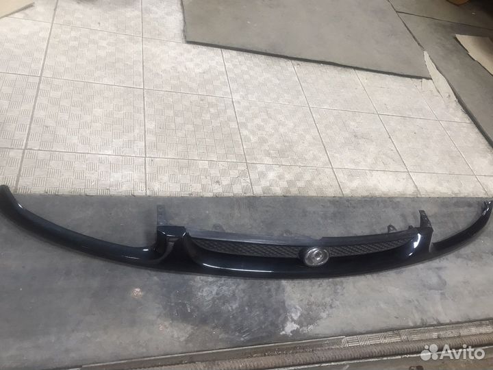 Решётка радиатора, усы