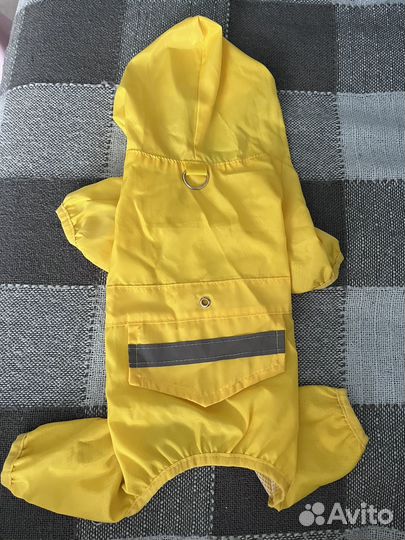 Одежда для маленьких собак и кошек