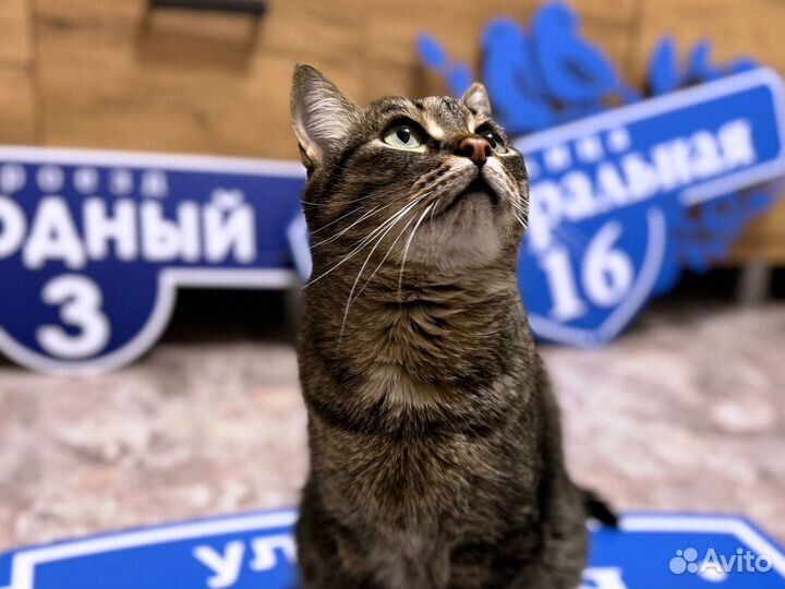 Табличка под заказ от производителя