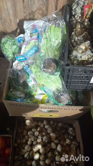 На корм животным