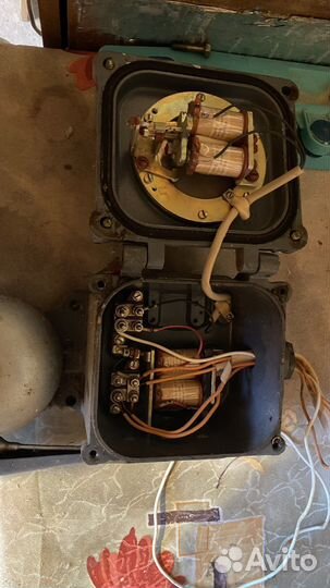 Звонок громкого боя-Ревун. 220В