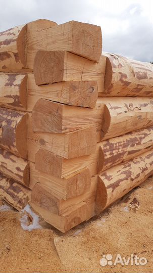 Домовые и банные срубы под заказ