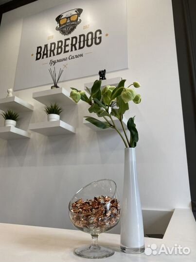 Груминг салон barberdog
