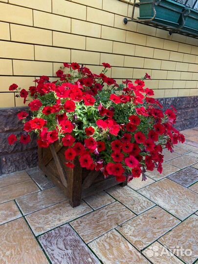 Кашпо для цветов