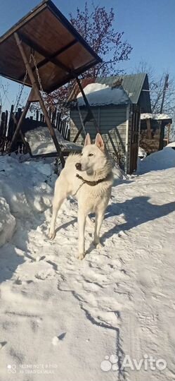 Кабель на вязку