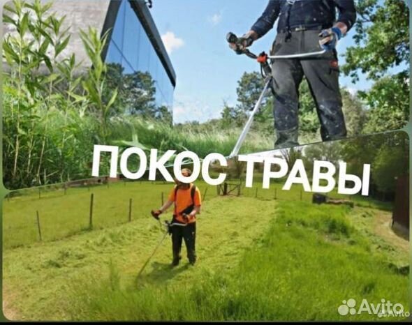 Покос травы