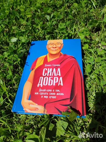 Сила добра Дэниел Гоулман