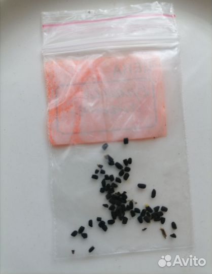 Катарантус семена