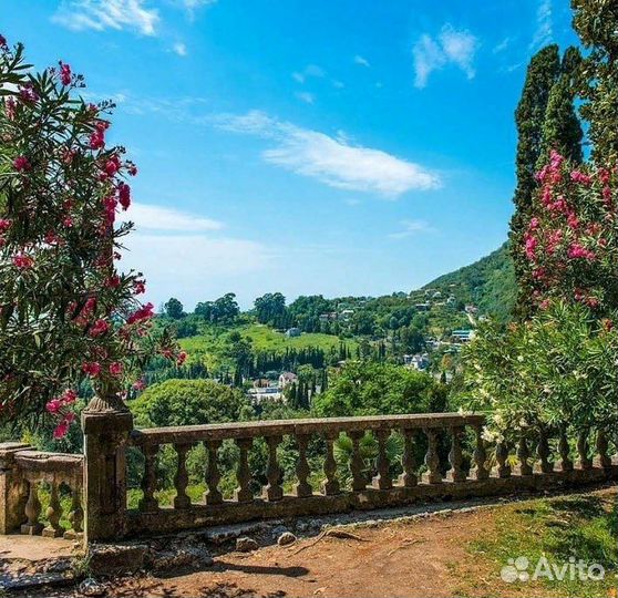 Йога-тур в Абхазию