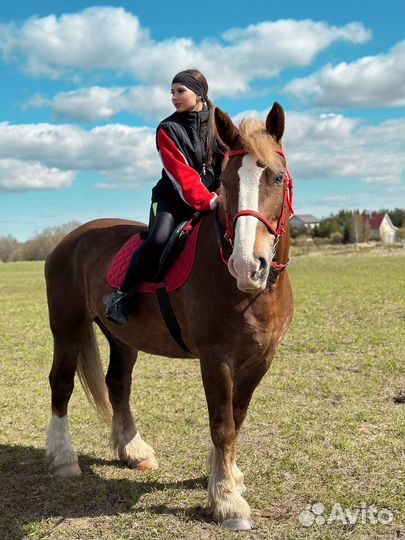 Прогулки на лошадях