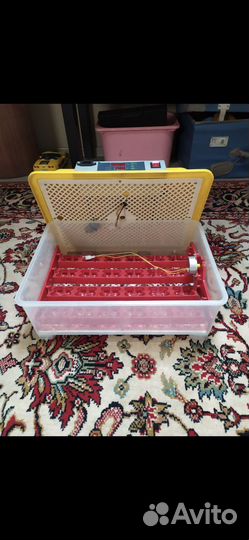 Инкубатор для яиц бу