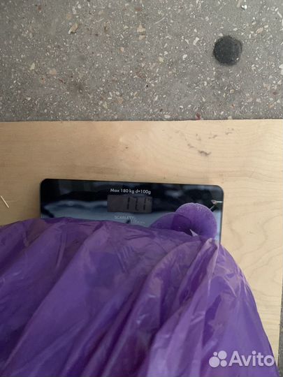 Royal canin medium starter