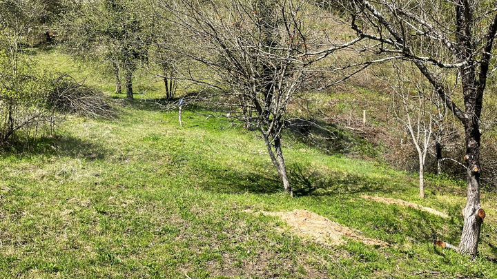 Участок 6,2 сот. (ИЖС)