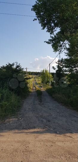 Участок 25 сот. (СНТ, ДНП)