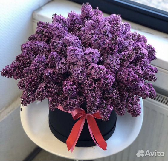Букет сирени