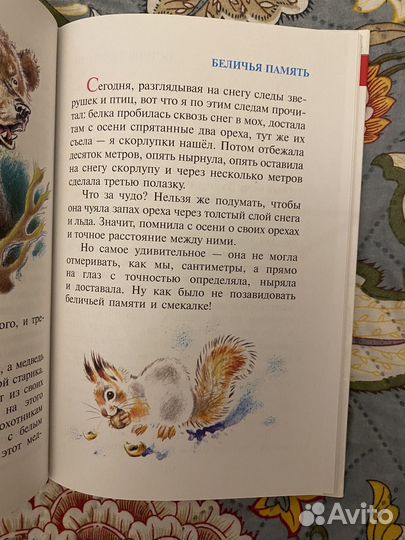 Детская книжка 