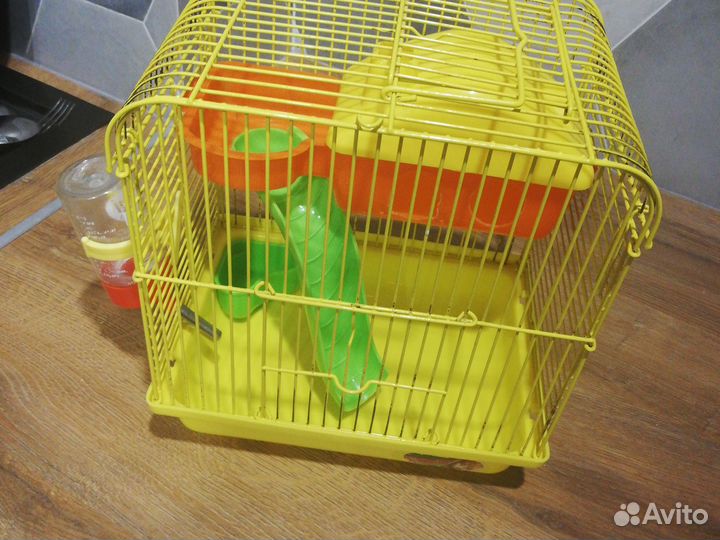 Клетка для джунгарика