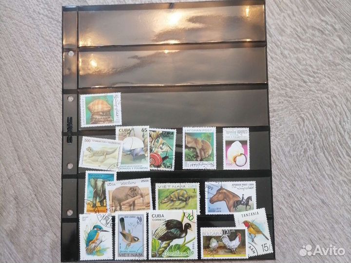 Меожество старых и редких марок