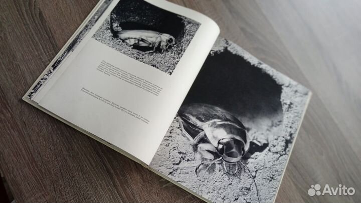 Книга Лех Вильчек 