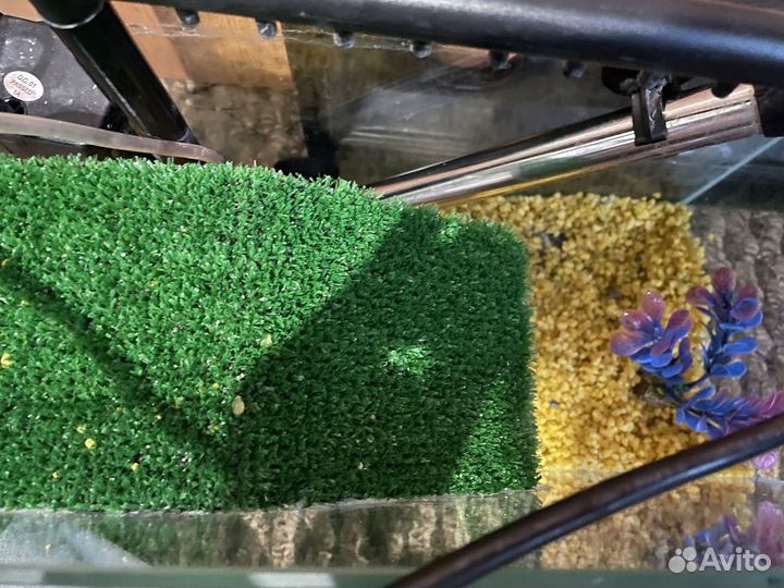 Аквариум для красноухой черепахи