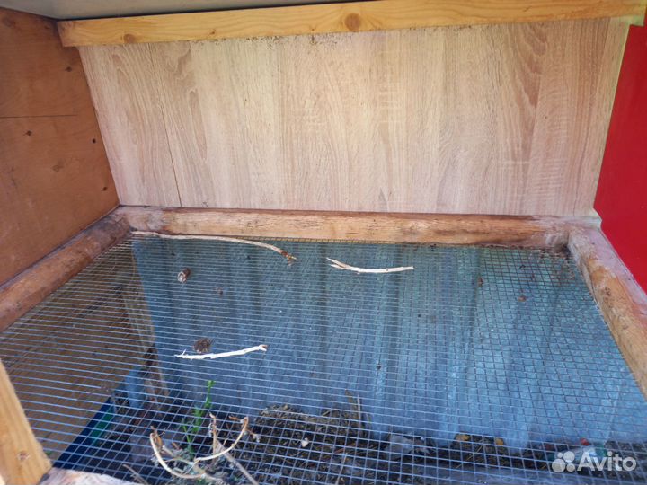 Кроличьи клетки