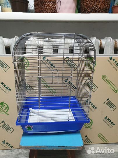 Клетка для попугая бу